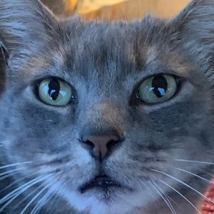 Meet your Posher, Emma